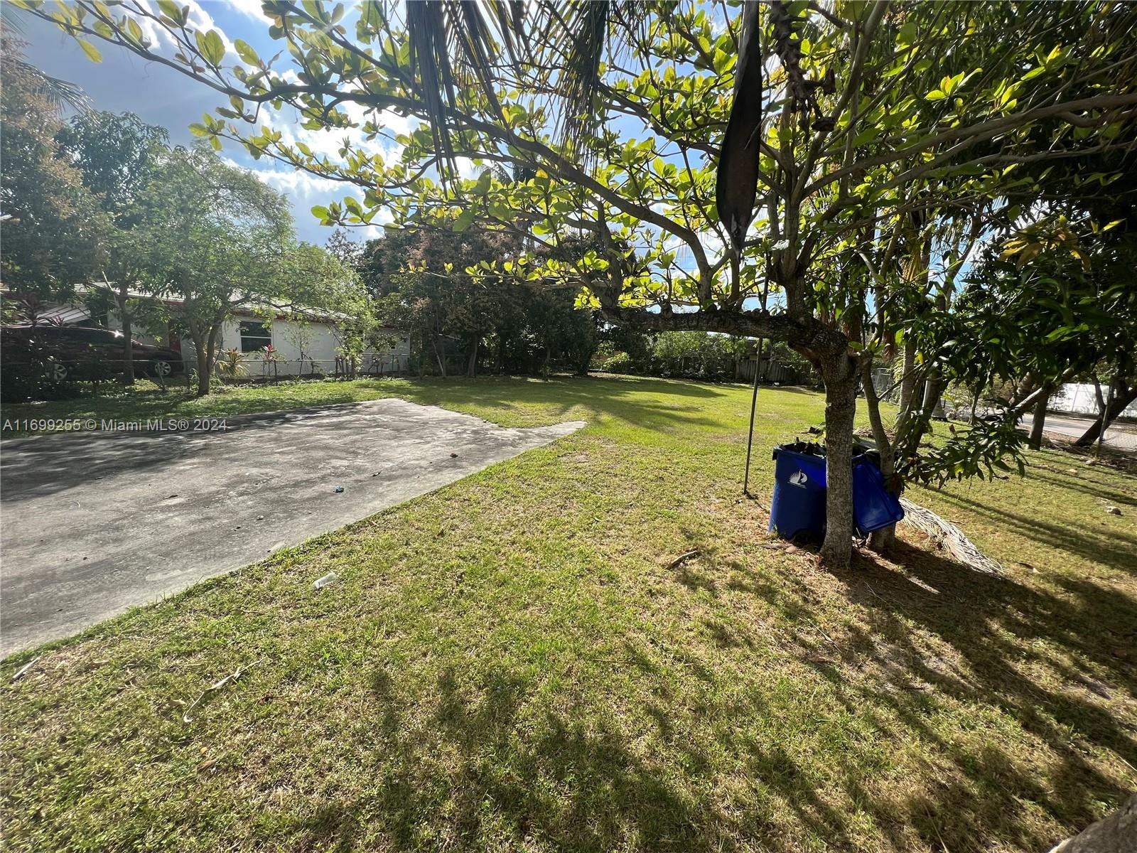 a view of a yard with plants and large trees