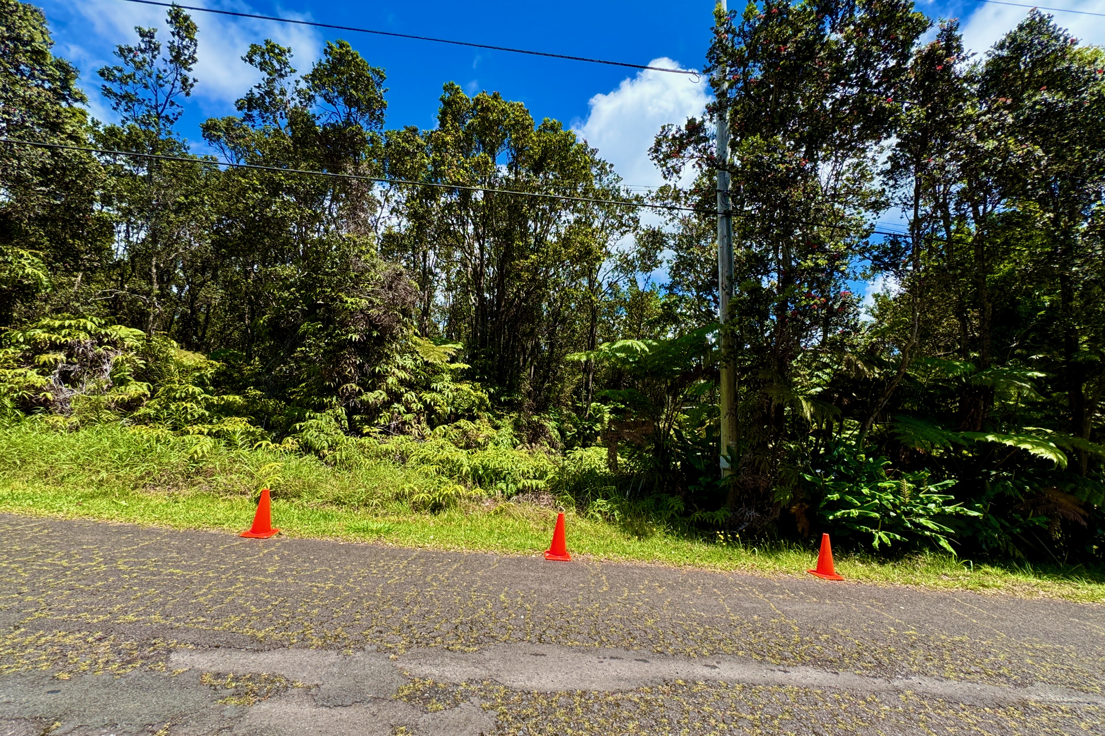 Lots 45 and 47 driveway access to Anuhea St. Almost an acre of native forest awaits you at the end.