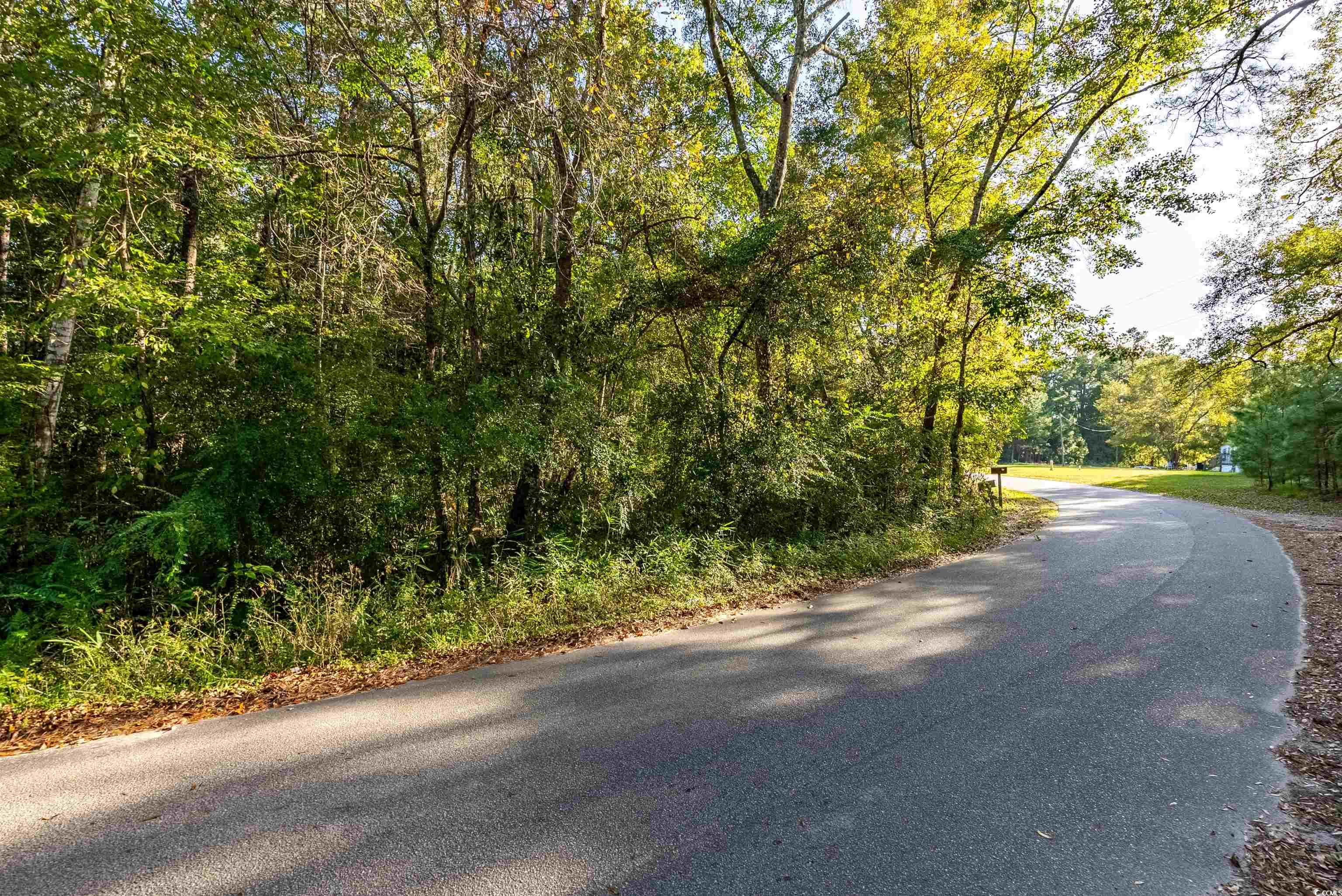 View of road