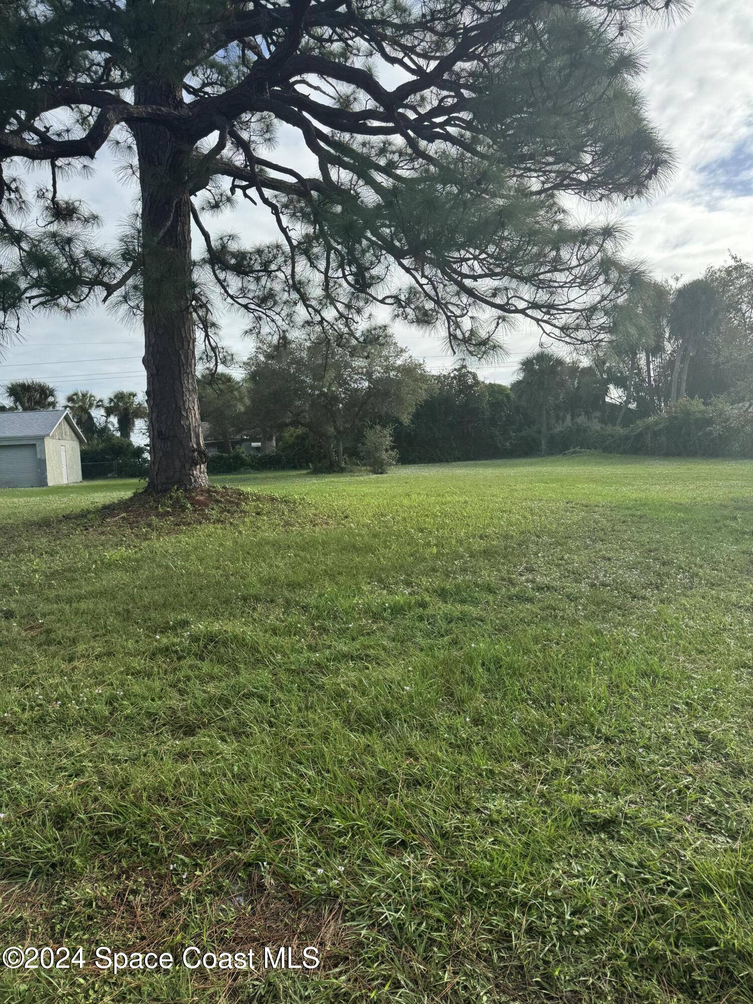 a view of outdoor space and yard