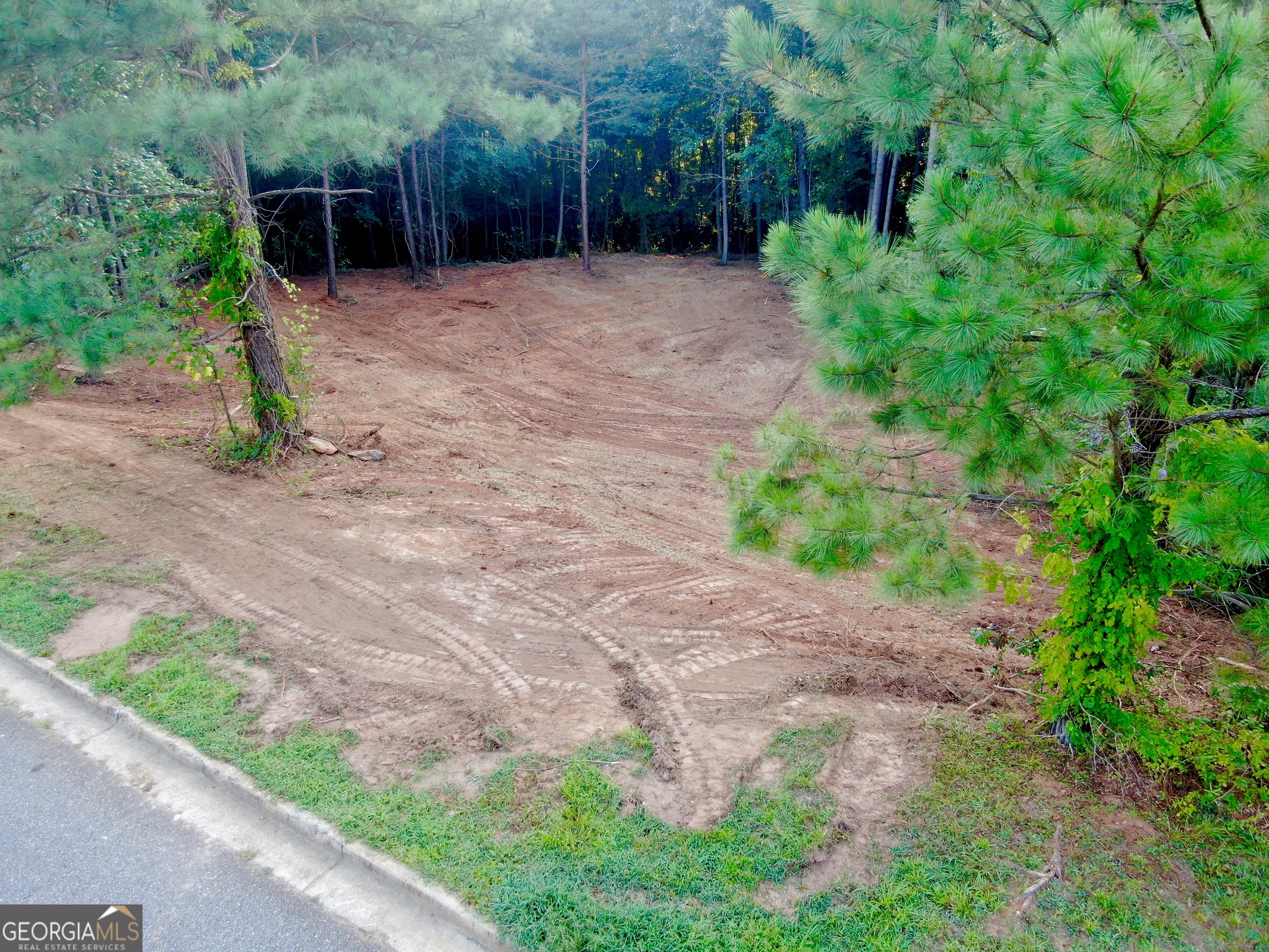 a view of a backyard with plants