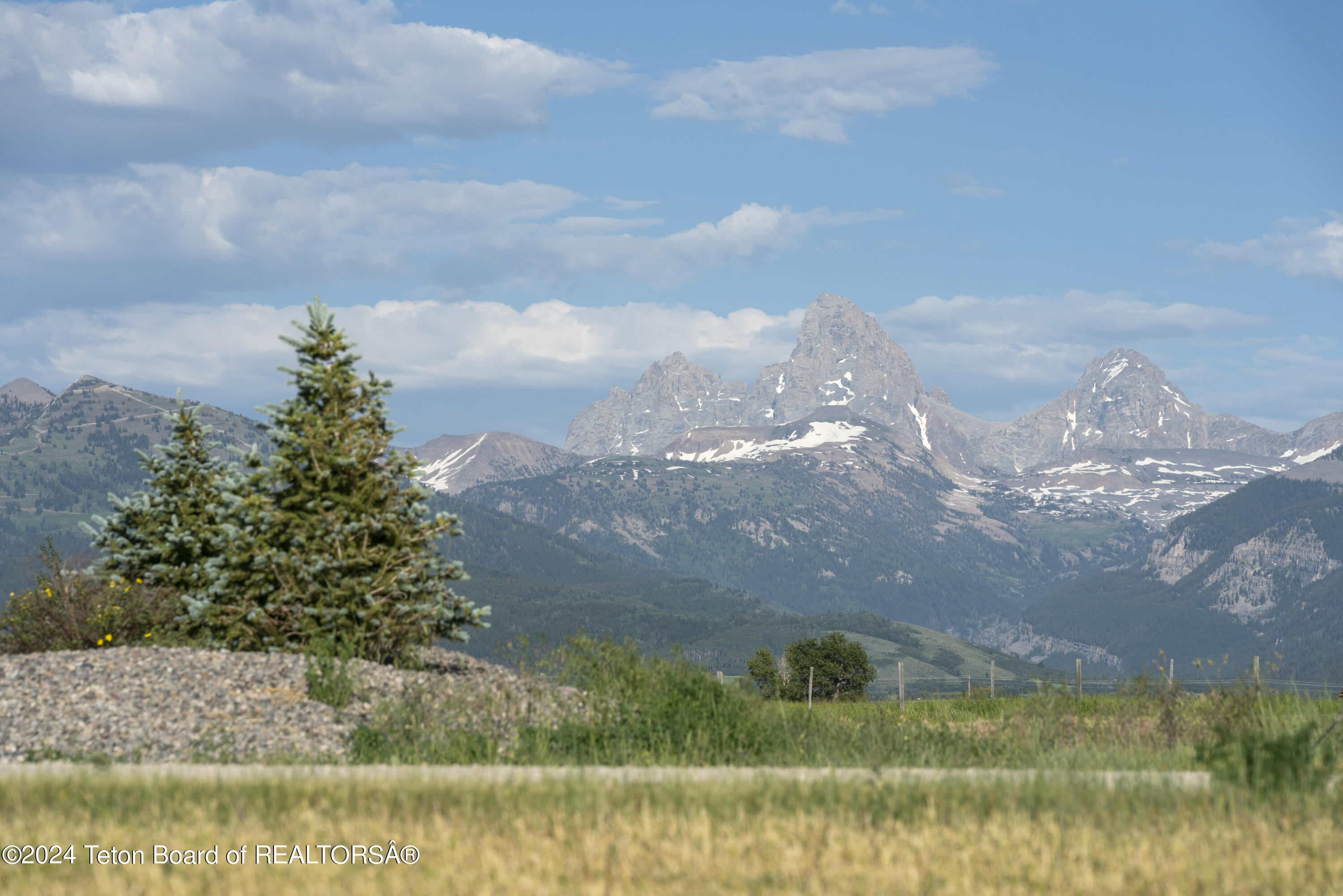 Teton Views