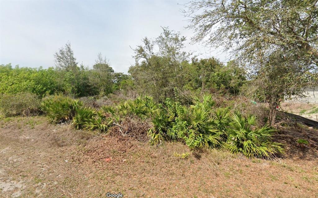 a view of a yard with a tree