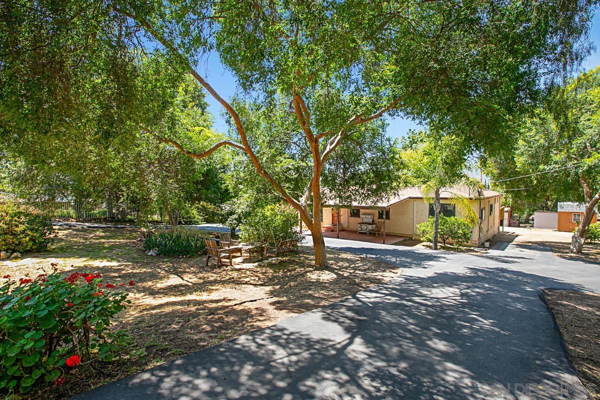 a view of a tree in the middle of a yard