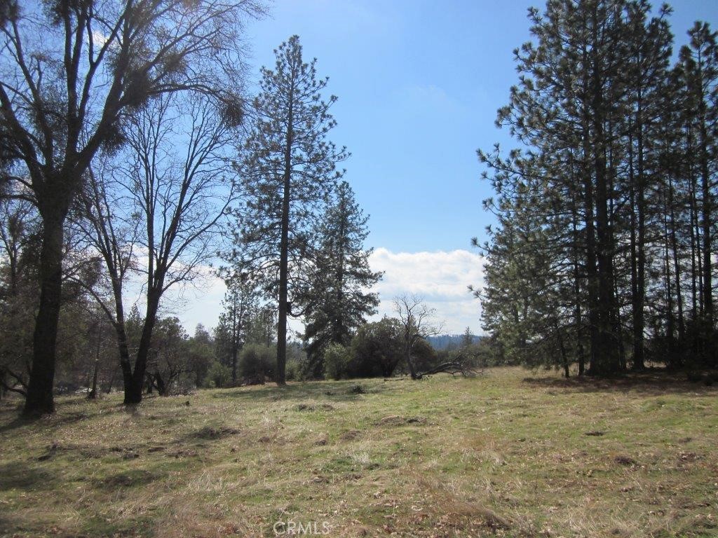 a view of dirt yard with trees