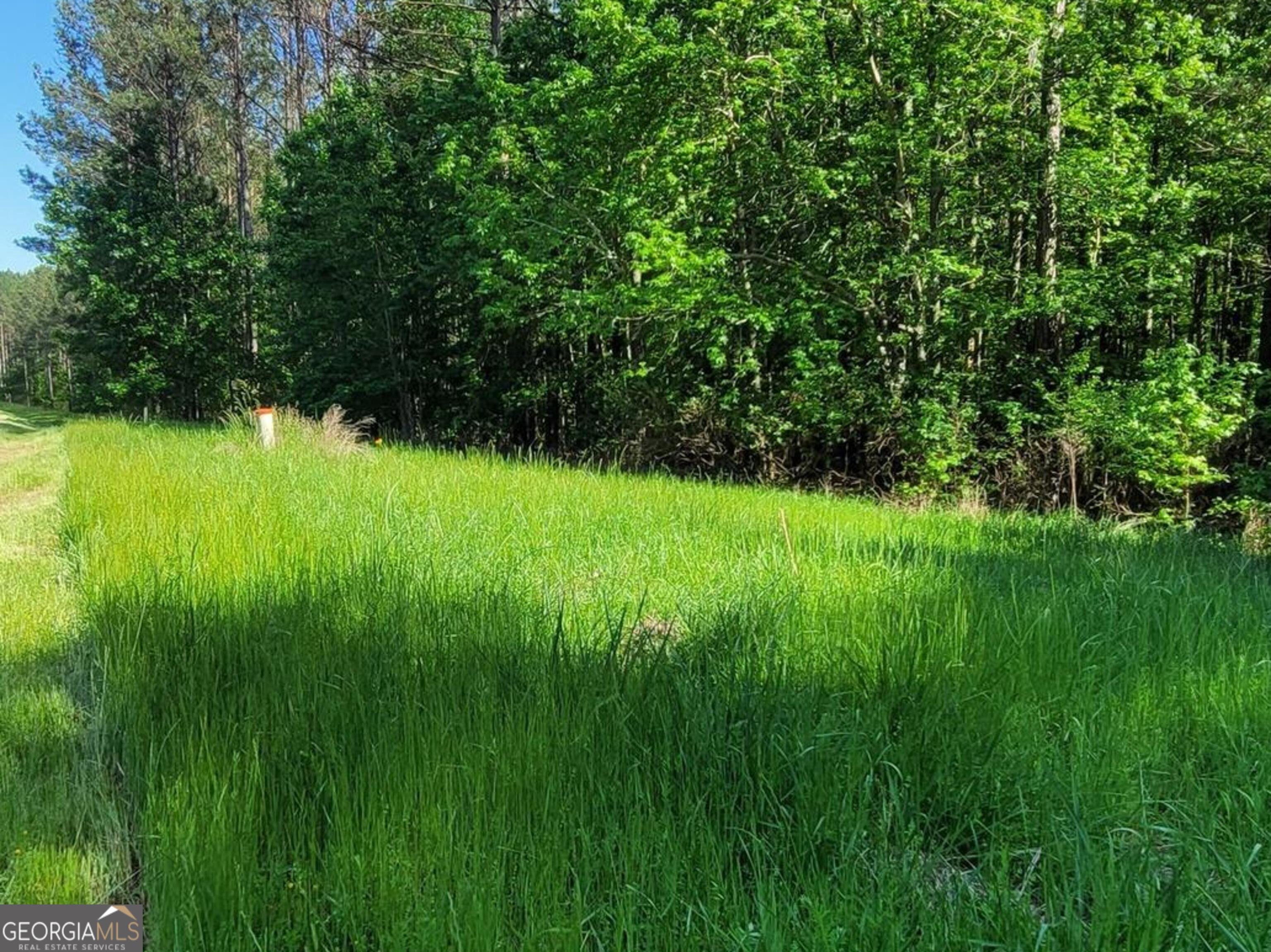 a view of yard with green space