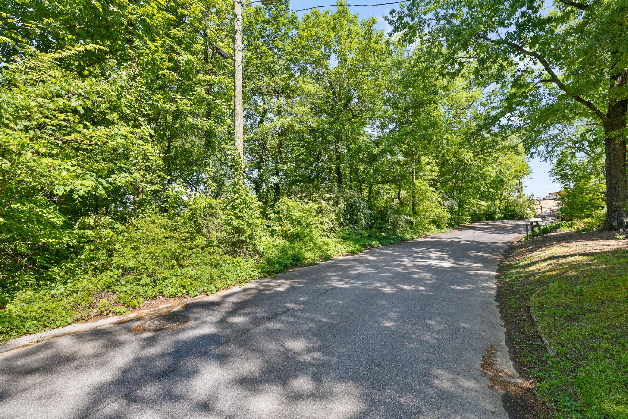 a view of a yard with plants and trees