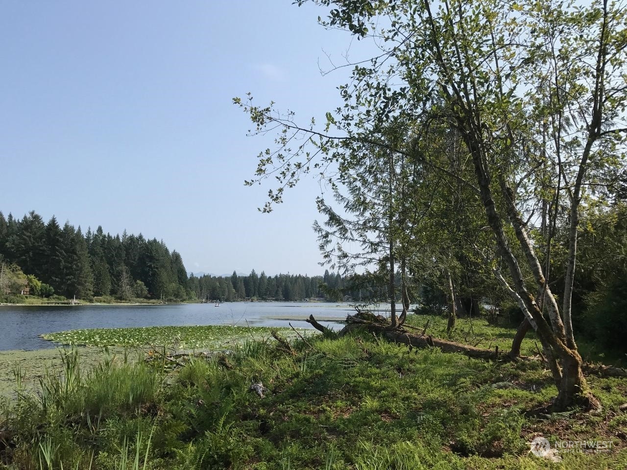 a view of a lush green field