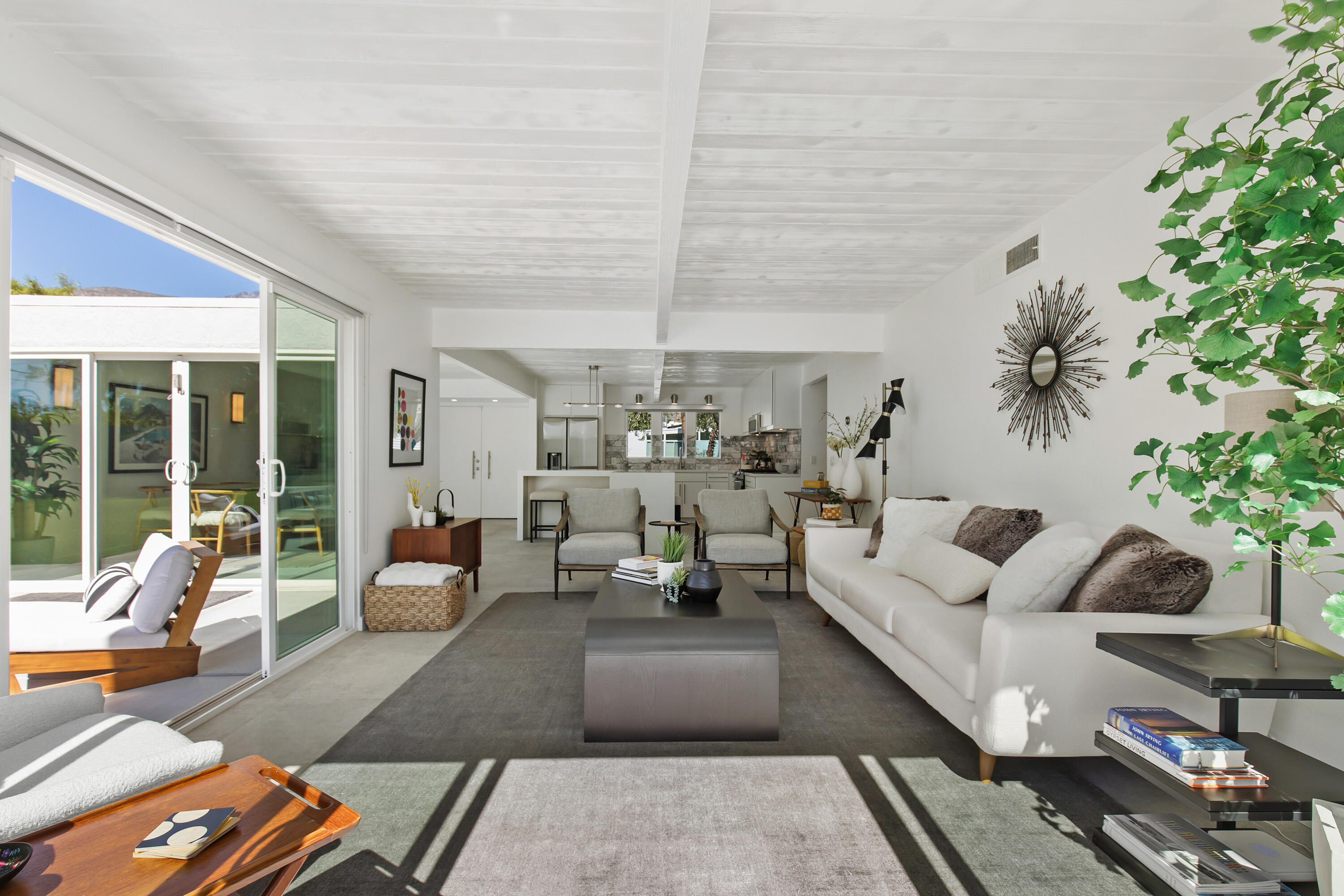 a living room with furniture and a potted plant