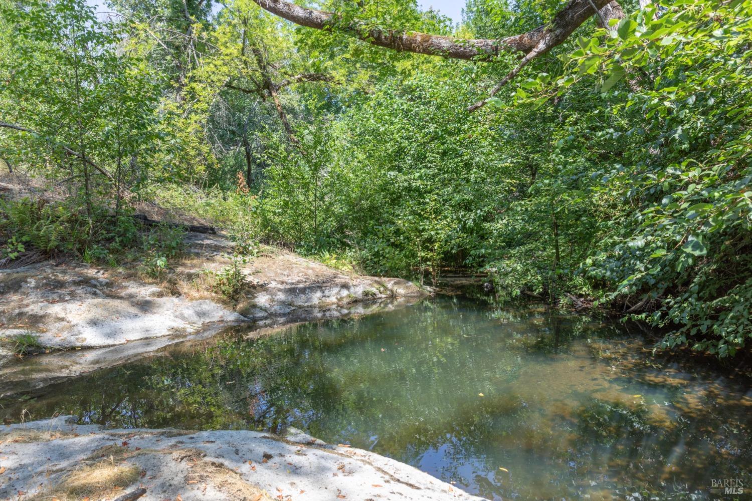 a view of a lake from a yard