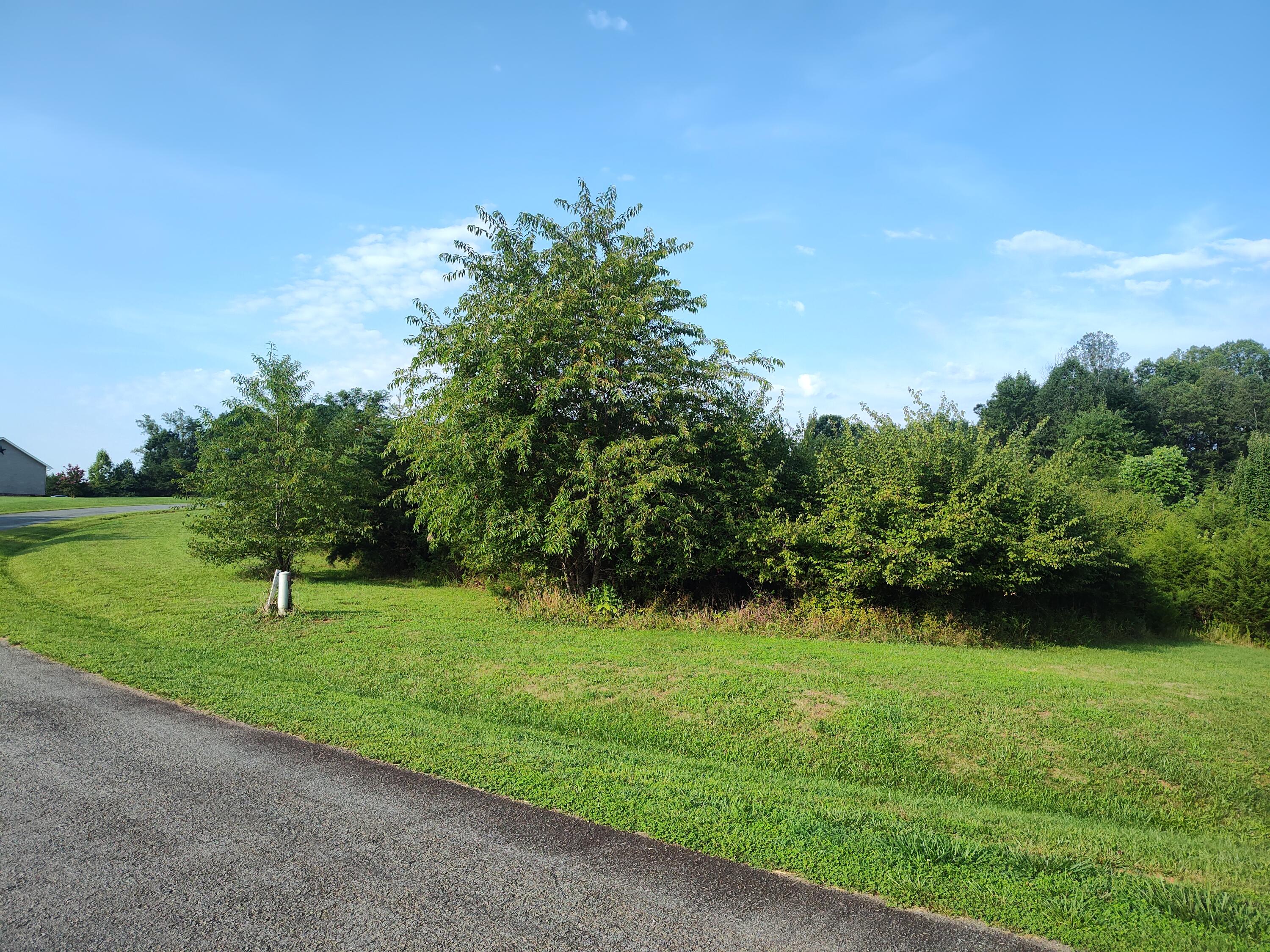 a view of a golf course