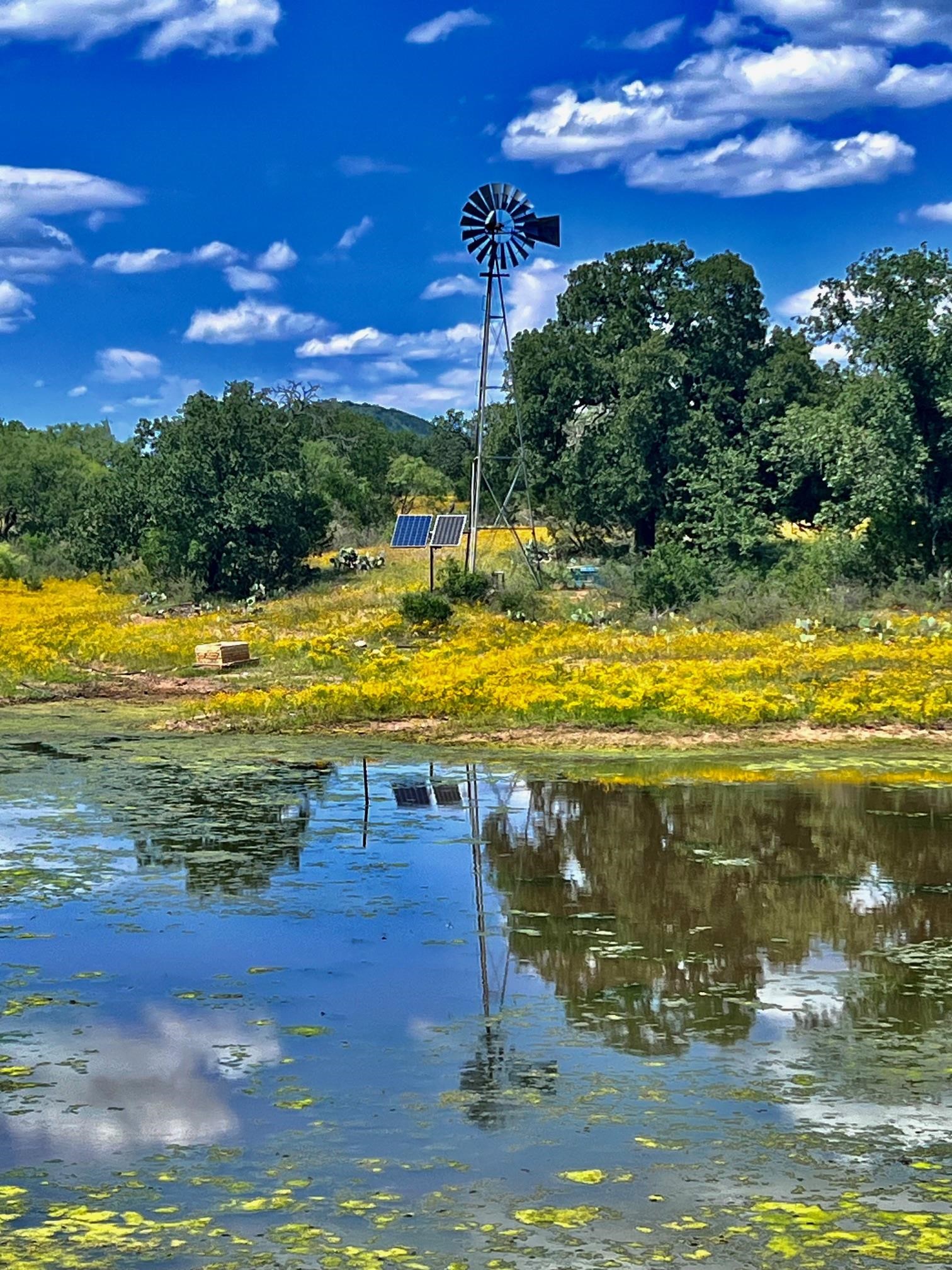 a view of a lake with a big yard