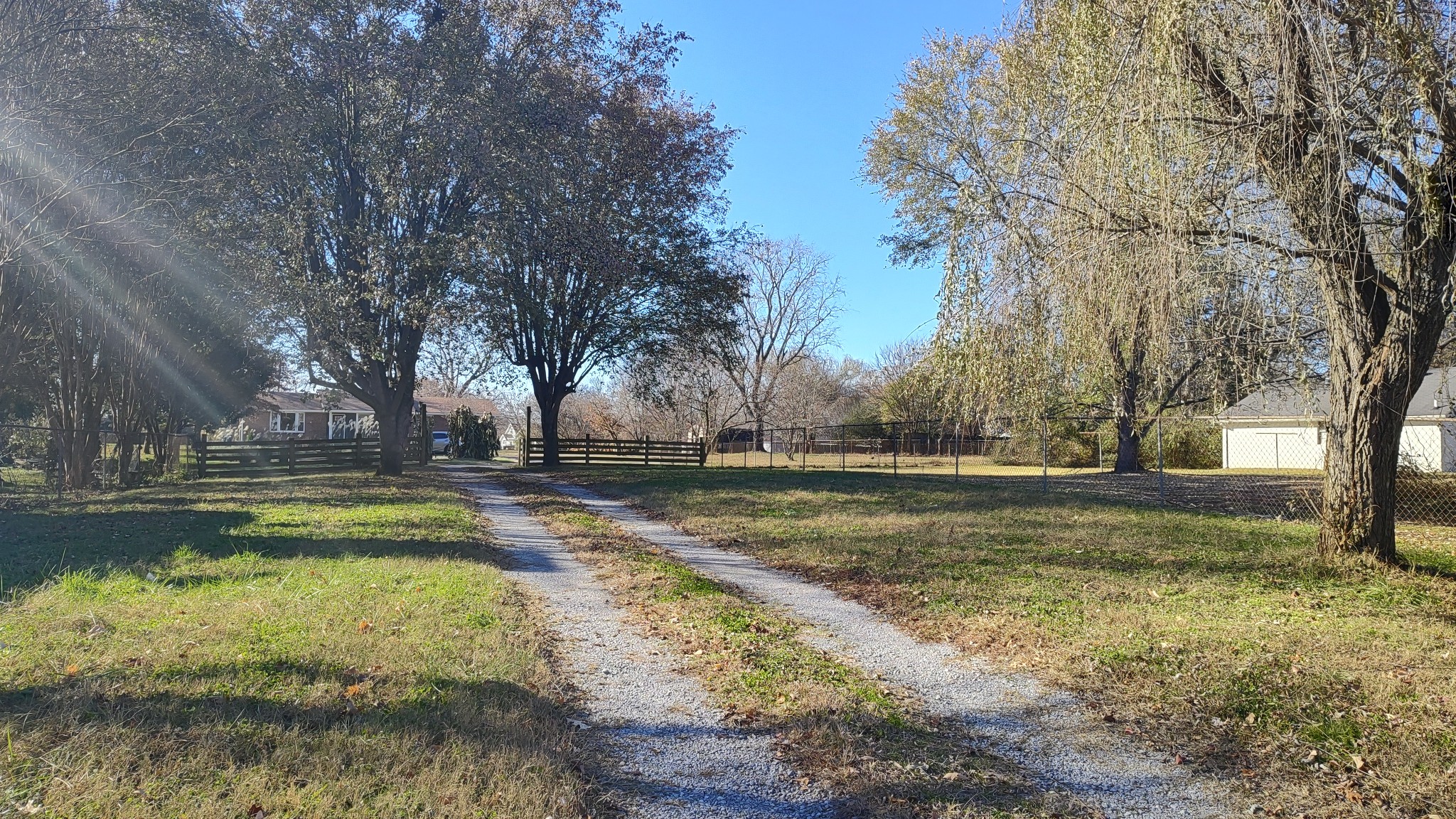 a view of a yard with large trees