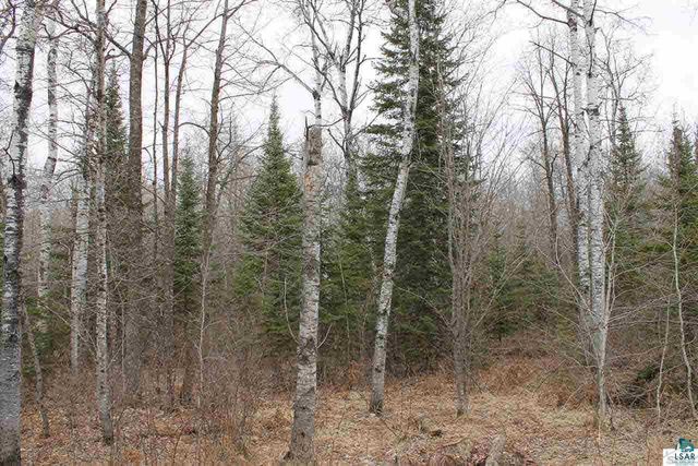 $20,000 | 0 Government Road | Ashland Town