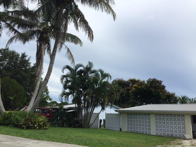 a view of a house with a palm trees