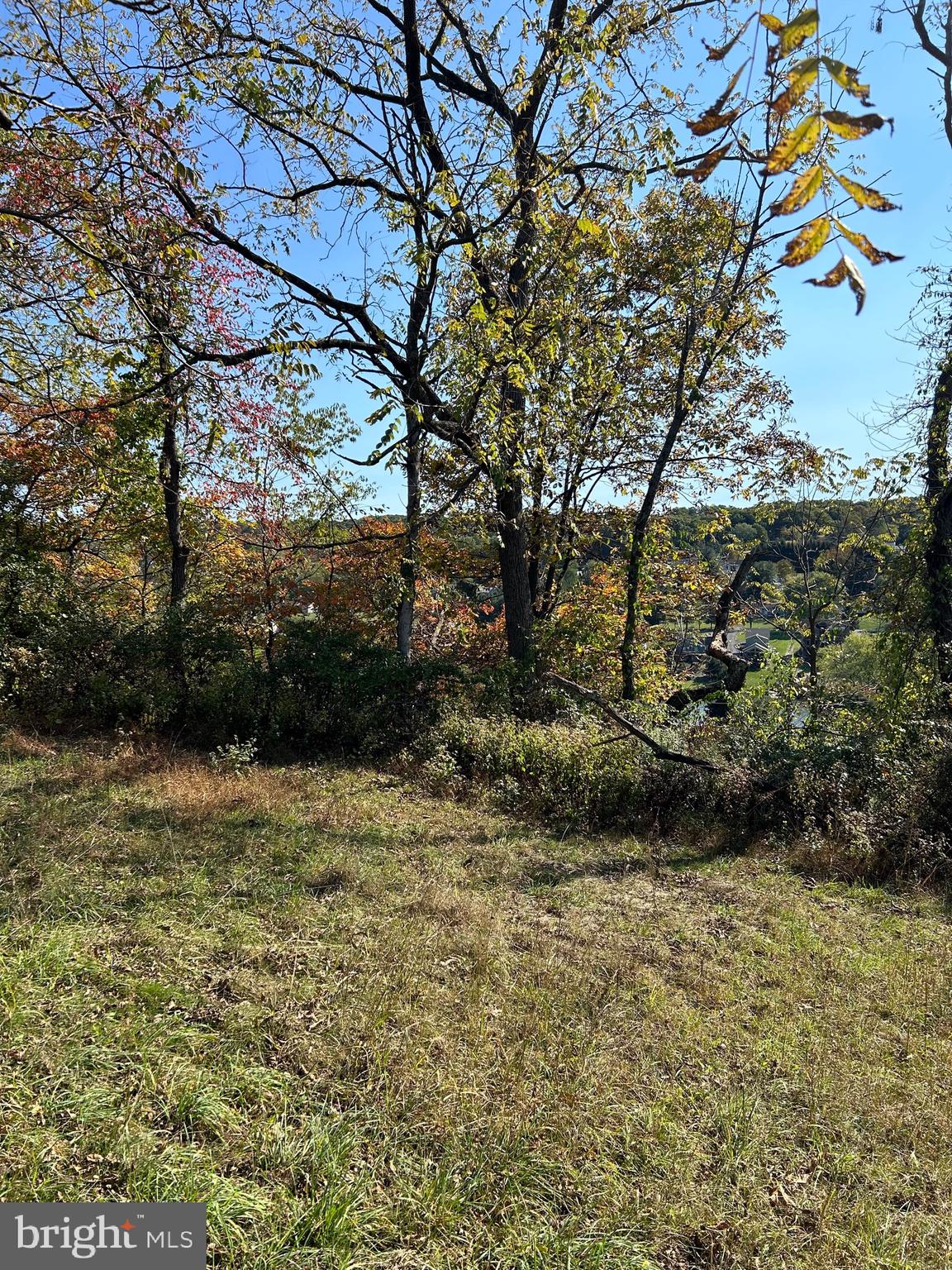 a big yard with lots of green space