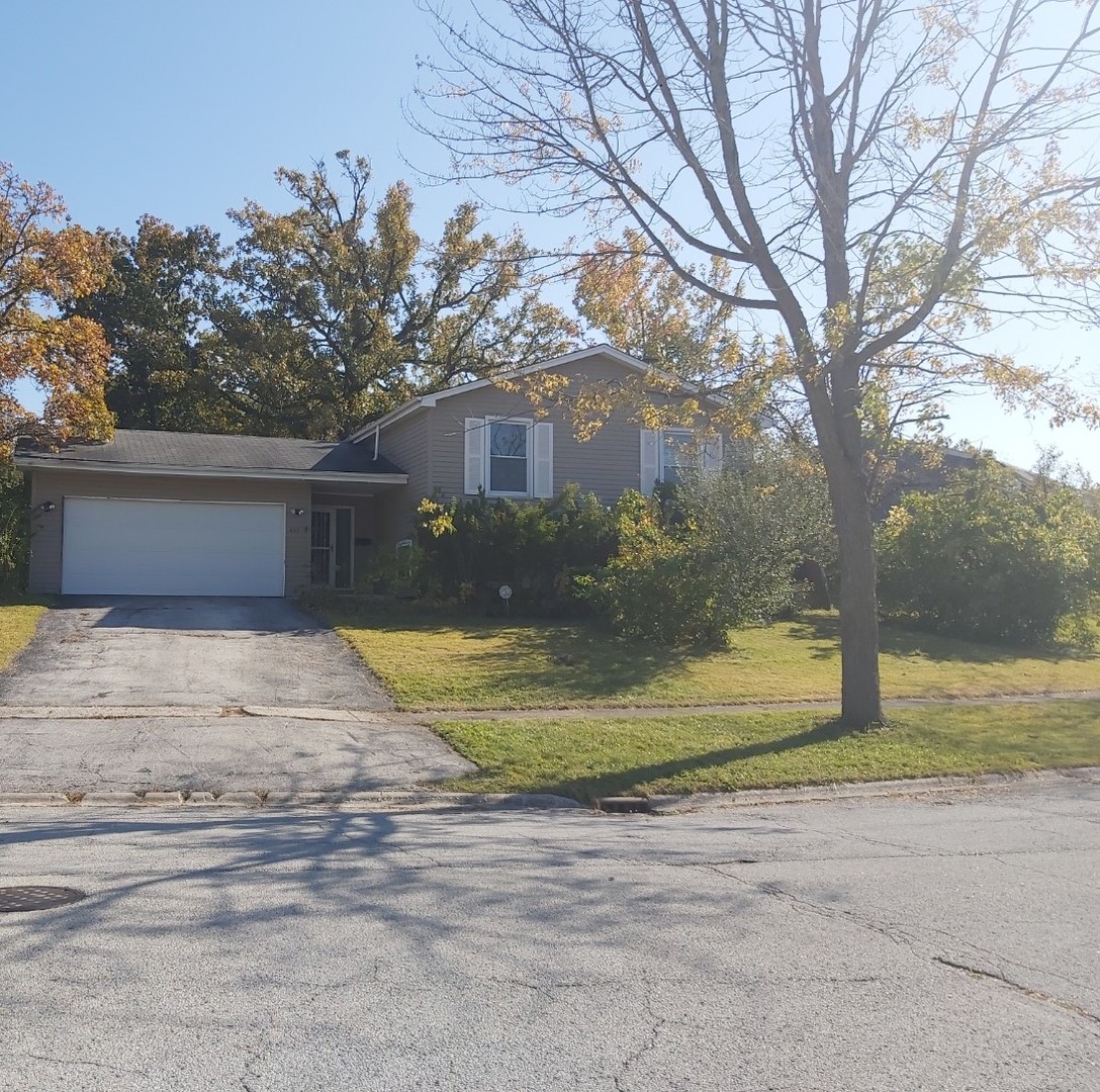 a view of a yard in front of a house