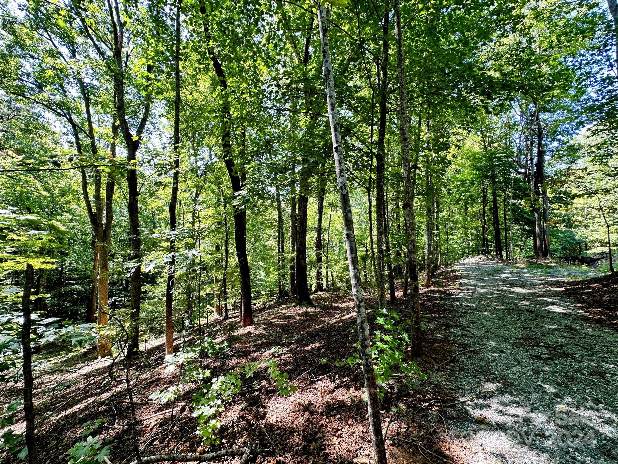 a view of outdoor space and trees