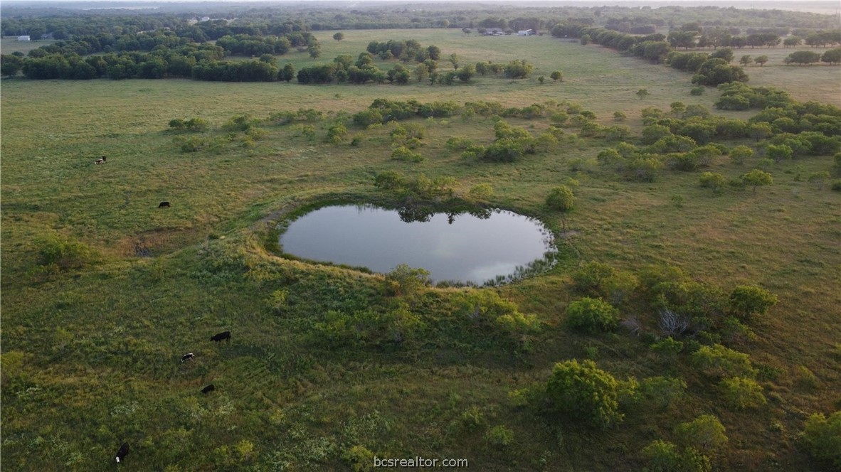 a view of a lake from a yard