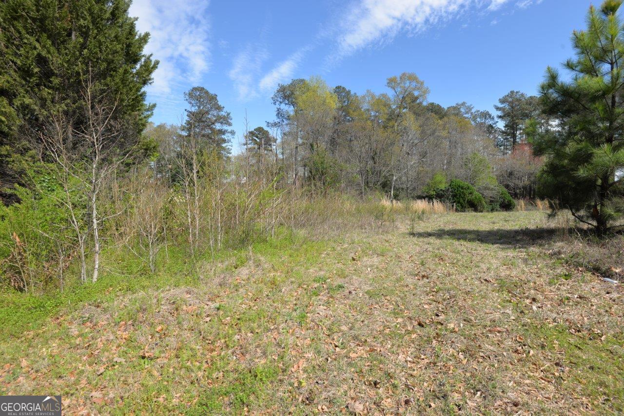 a view of a garden with trees