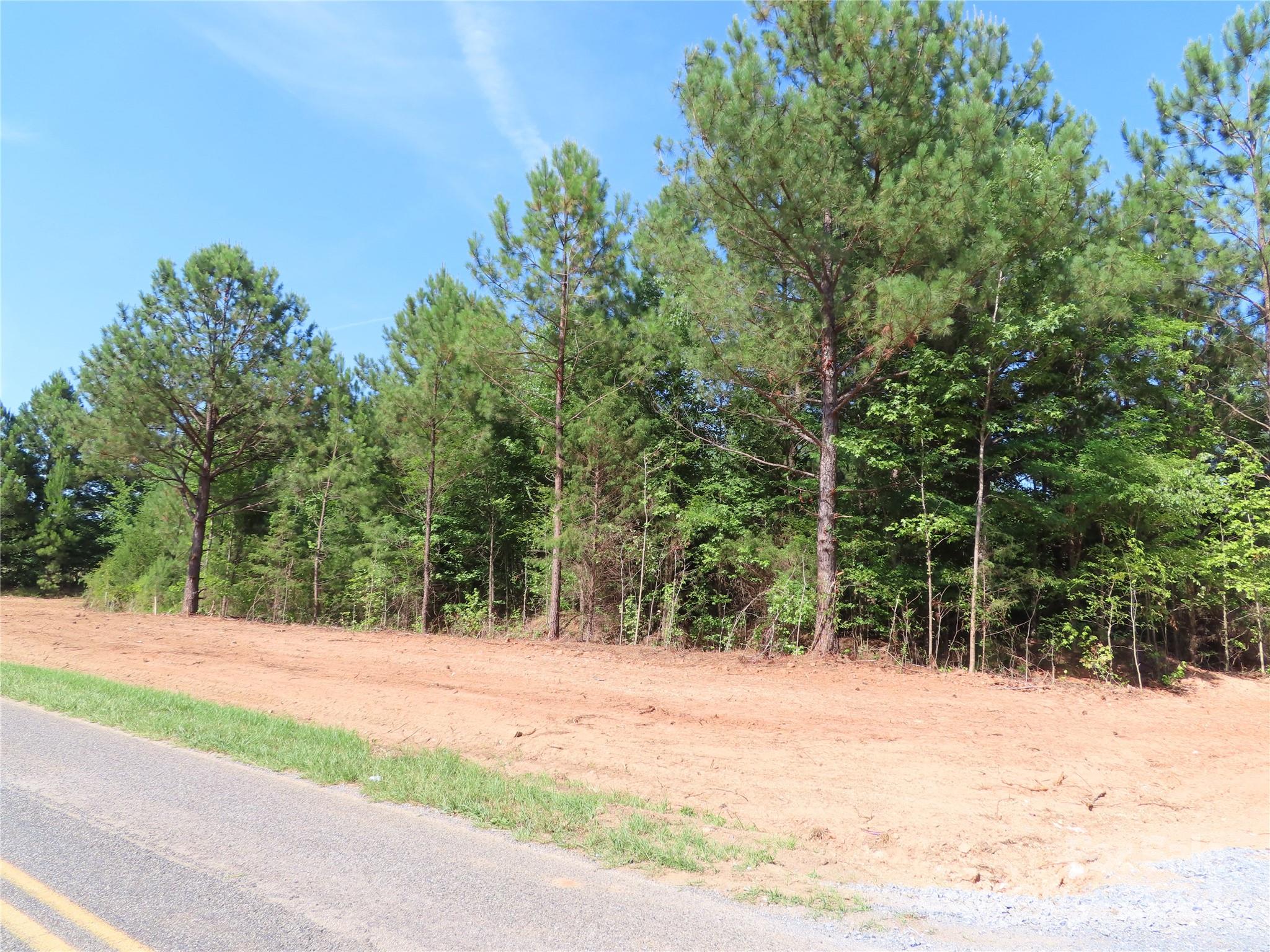 a view of road and trees