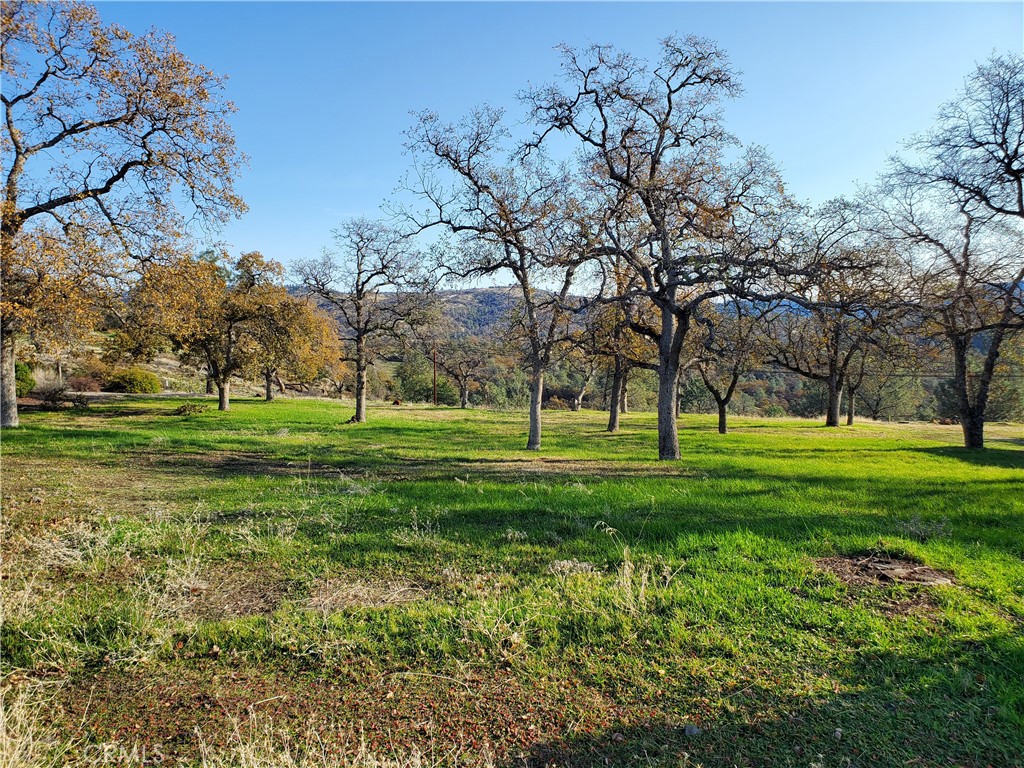 a view of grassy field with benches