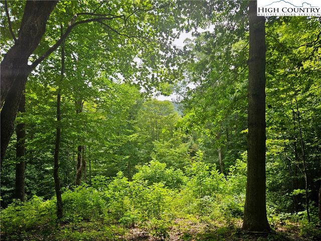 $69,900 | Whispering Breeze Ridge | Elk Township - Ashe County