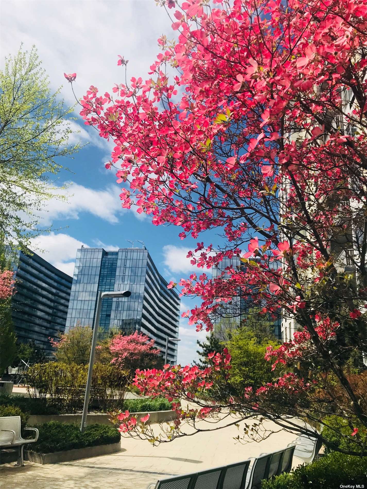 a view of a plants