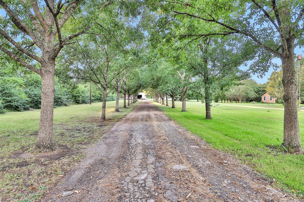 a view of a tree in a park