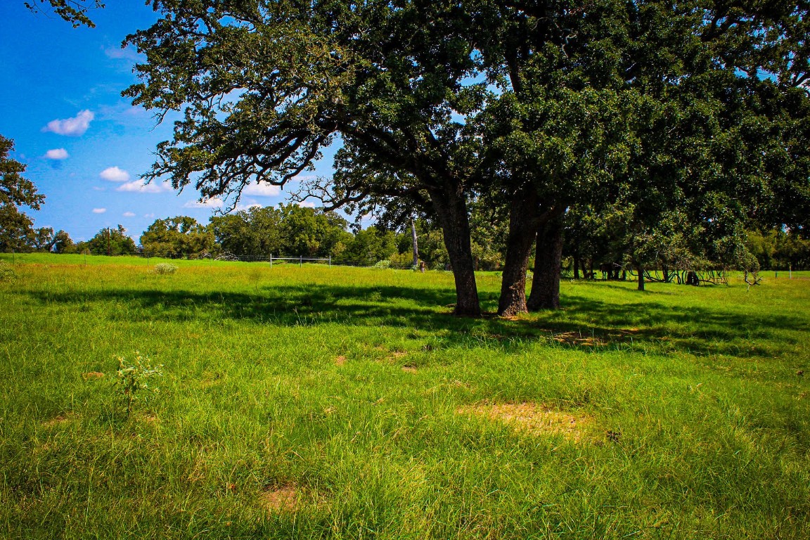 a view of grassy field with benches