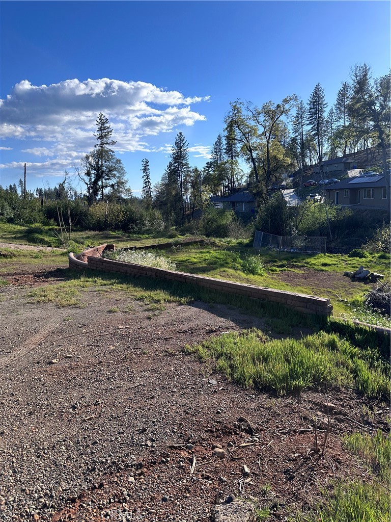 a view of a yard in front of the house