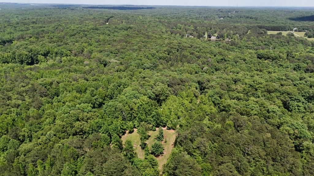 an aerial view of residential houses with outdoor space and trees