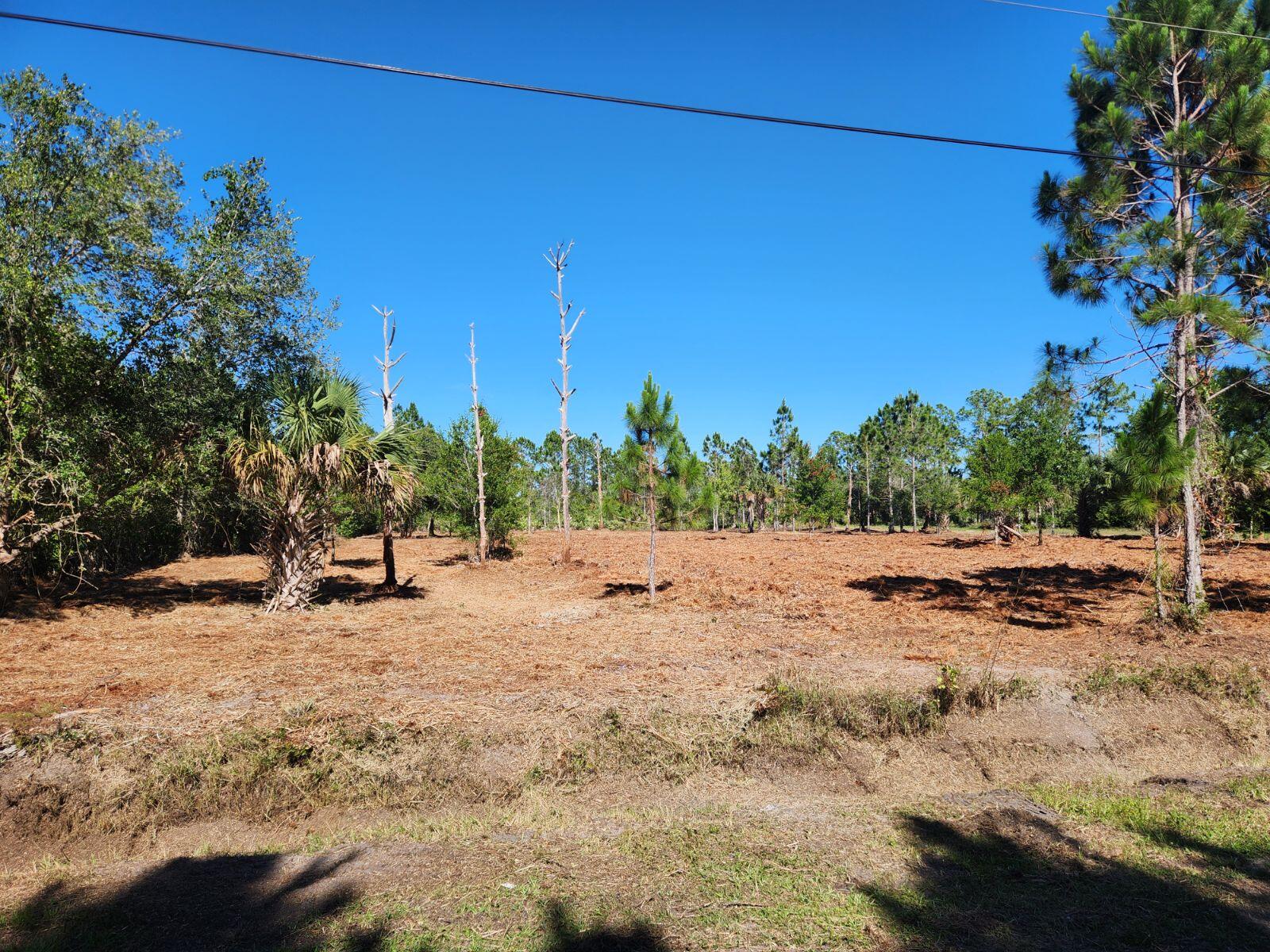 a view of a backyard of a house