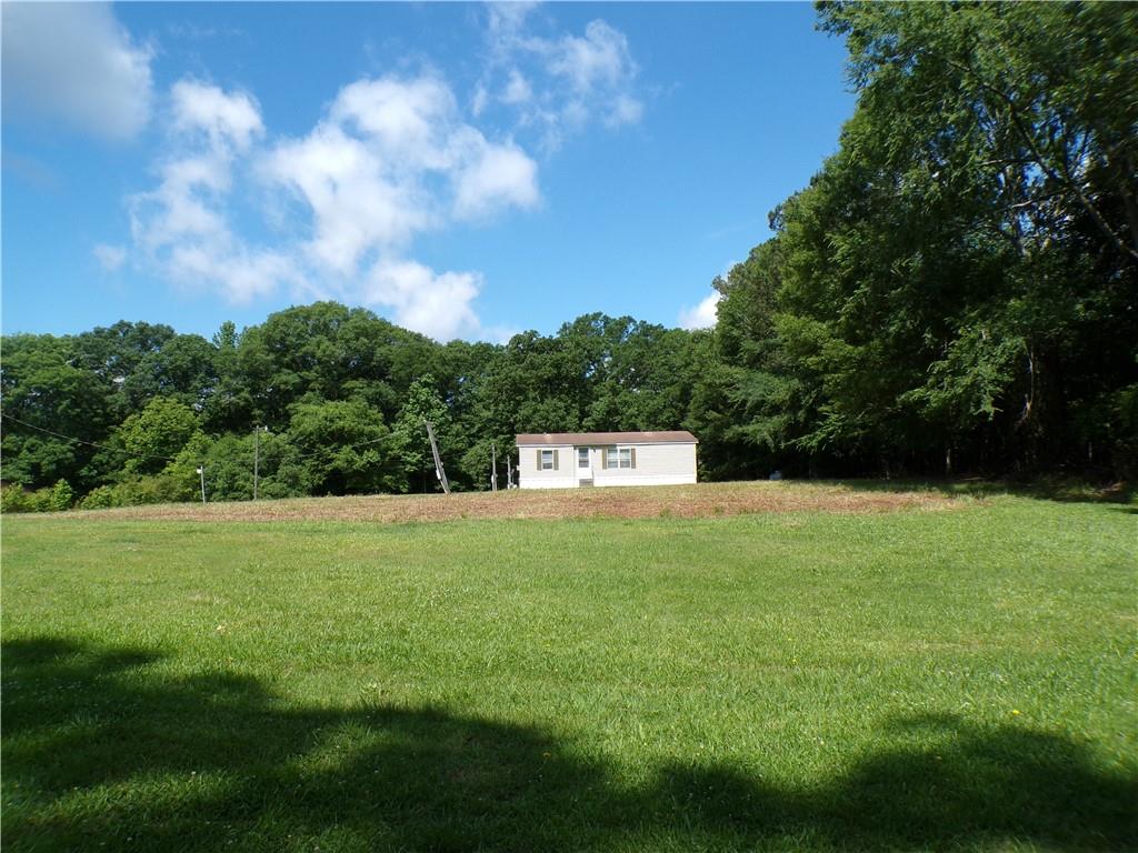 a view of a field with a tree