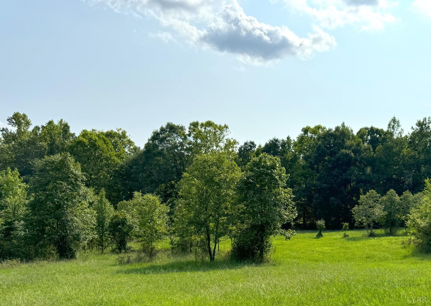 a view of a grassy field with trees