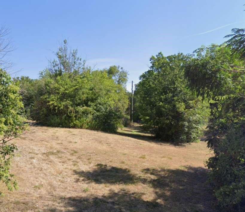 a view of a yard with a tree