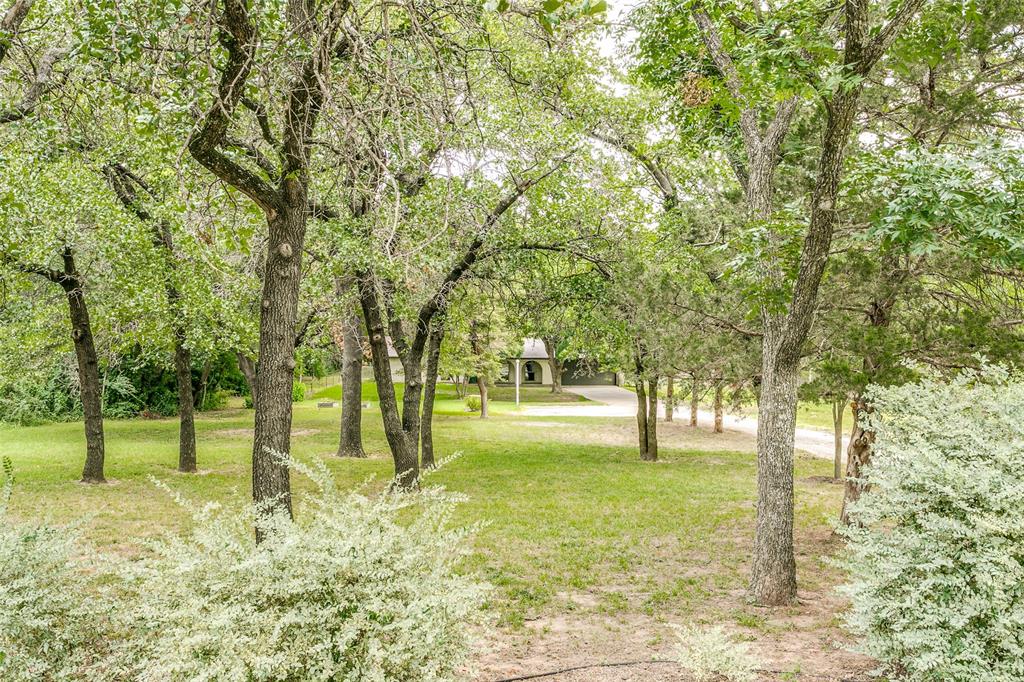 a view of yard with trees