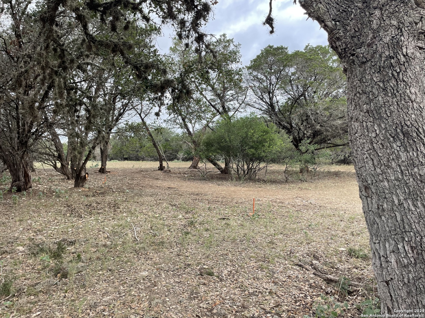 a view of outdoor space with trees