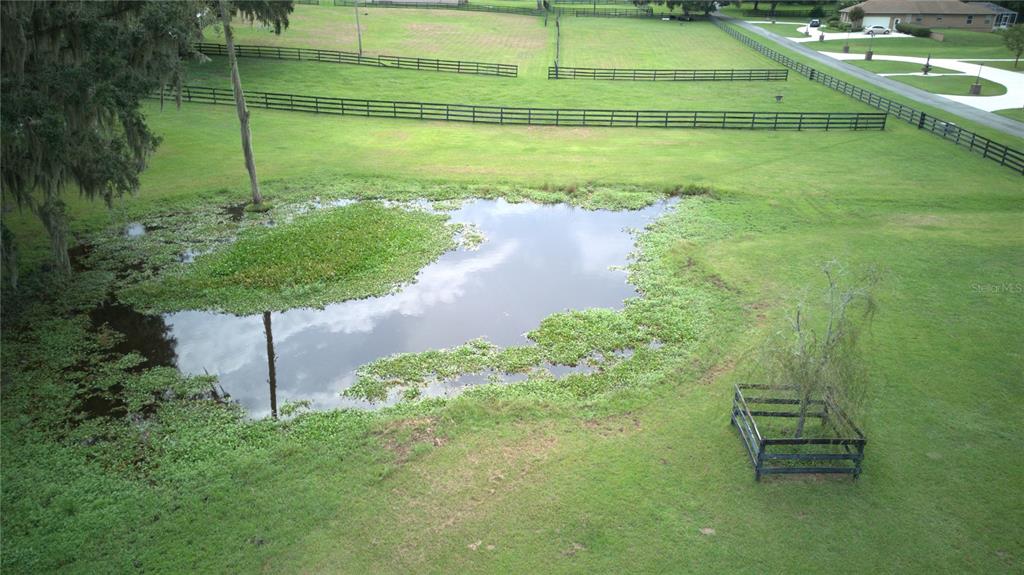 a view of a garden