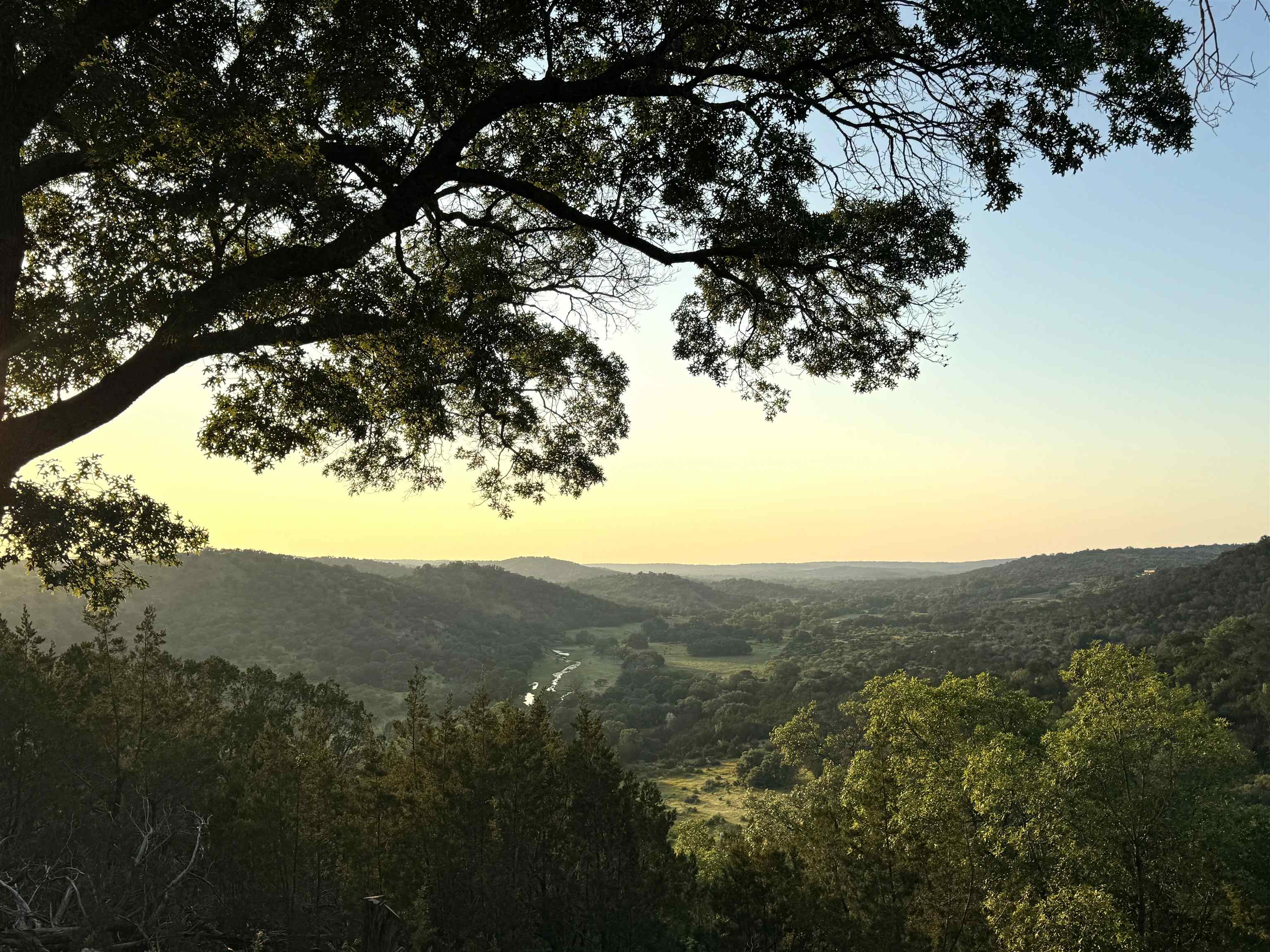 a view of a mountain in the distance in a field