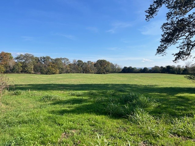 a view of a green field with trees in the background