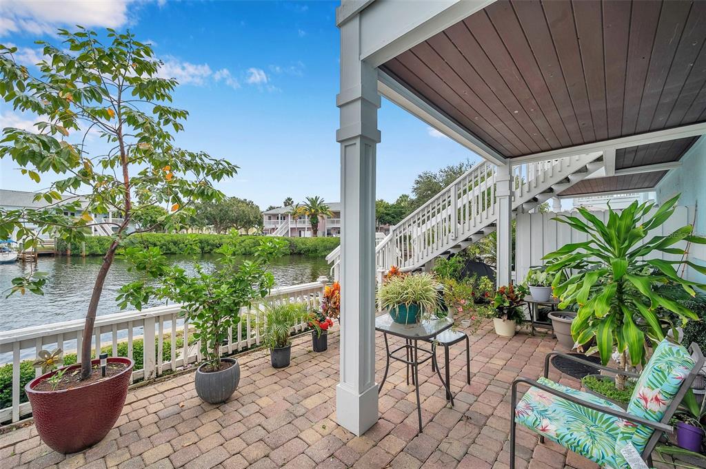 a view of a patio with plants and plants