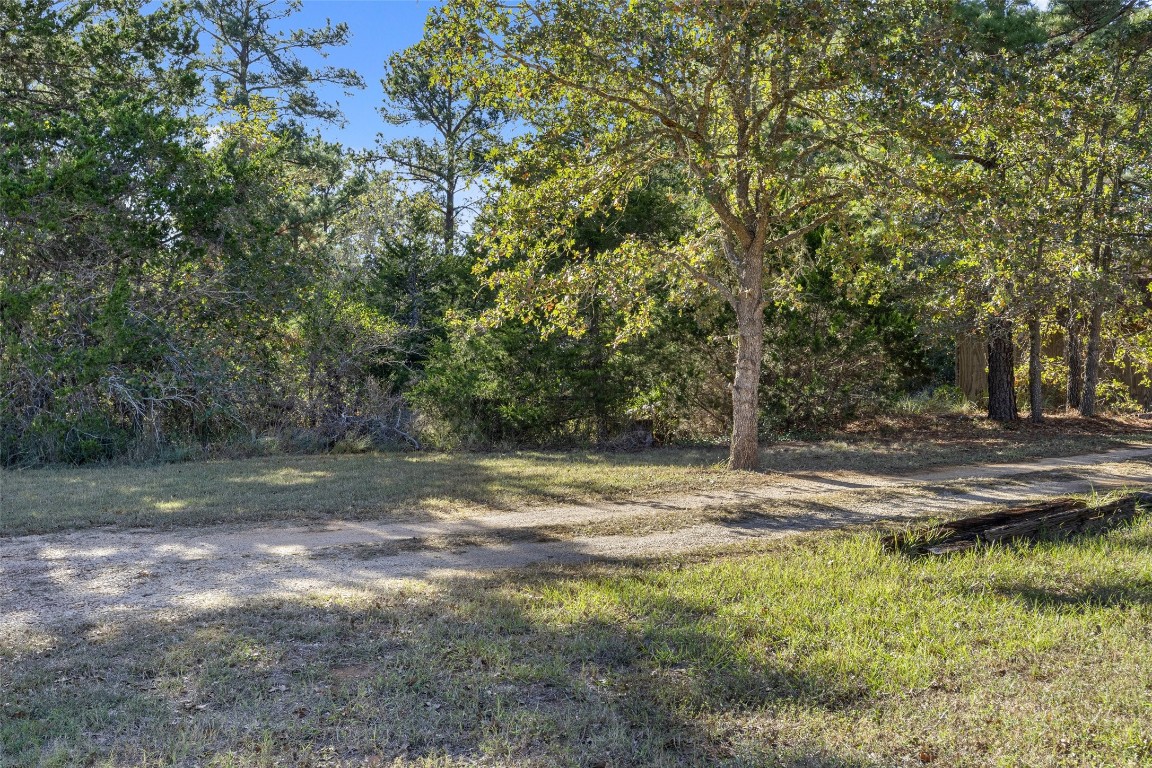 a view of a yard with a tree