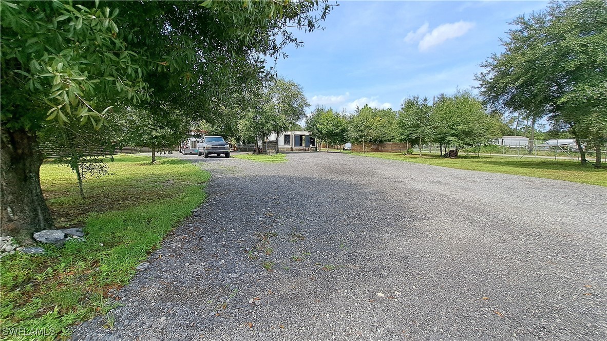 a view of outdoor space with trees all around