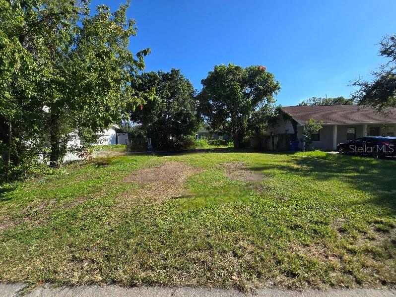 a view of a tree in front of house