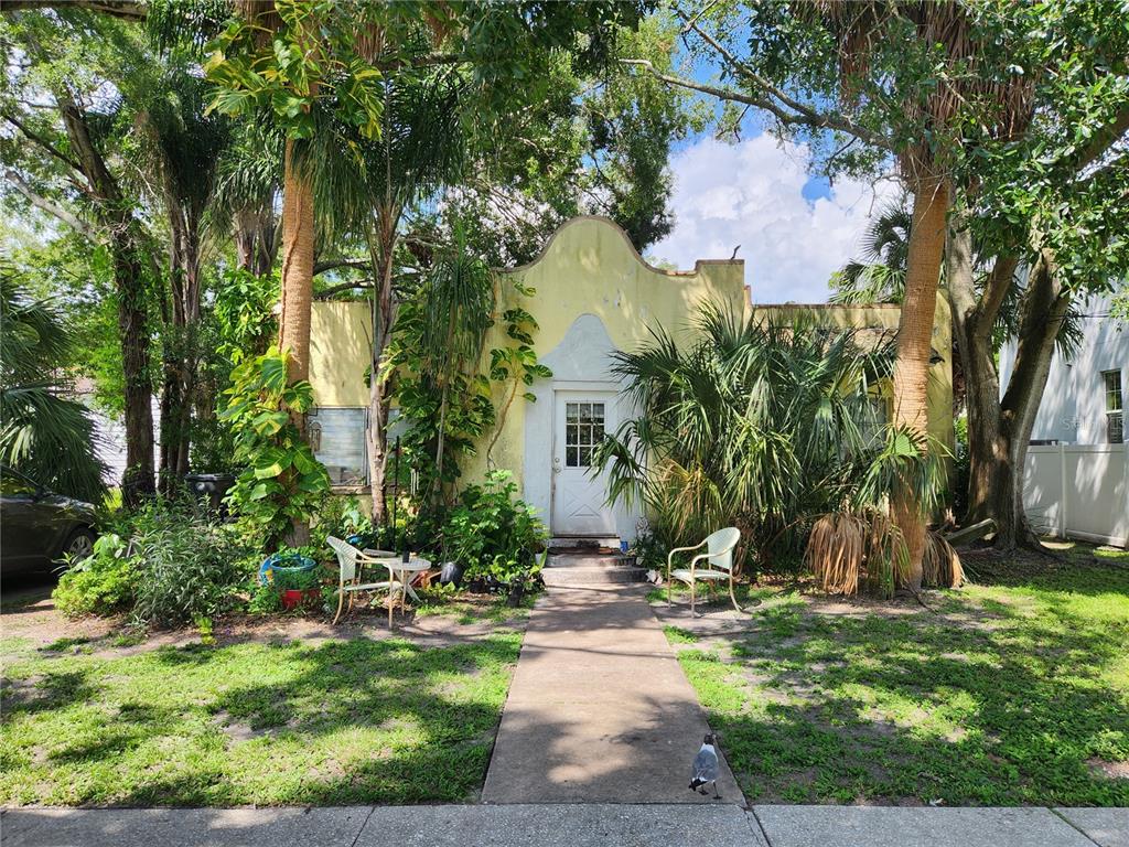 a view of a backyard with plants and a large tree