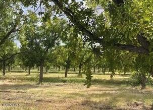 a view of backyard with green space