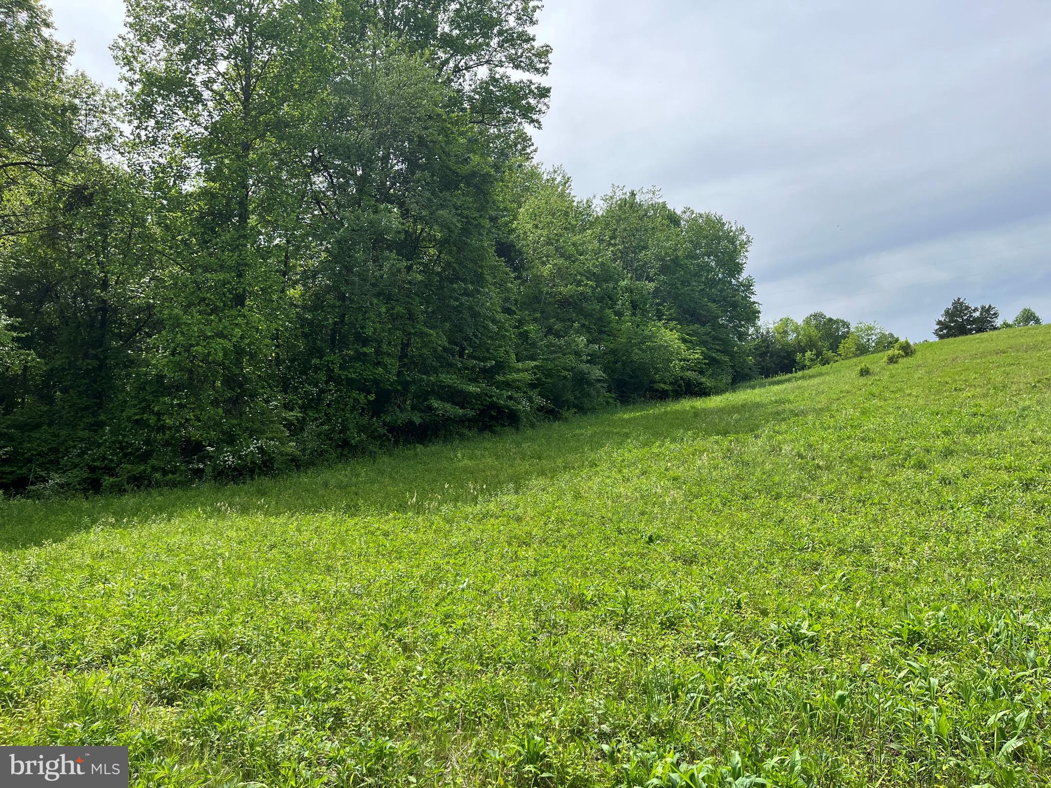 a view of a green yard