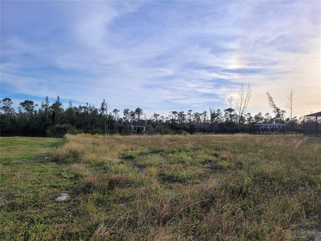 a view of a yard and ocean view