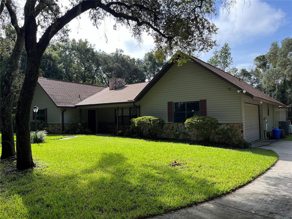 a view of a house with a yard plants and large tree